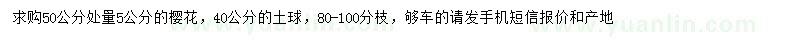 求購50公分處量5公分櫻花
