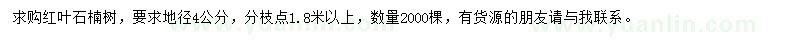 求購地徑4公分紅葉石楠樹