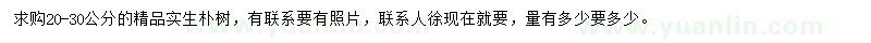 求購20-30公分精品實生樸樹