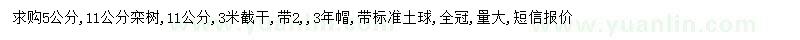 求購5、11公分欒樹
