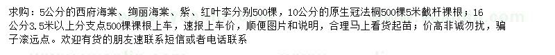 求購西府海棠、絢麗海棠、原生冠法桐等