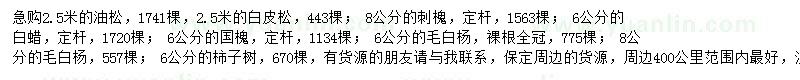 求購油松、刺槐、毛白楊等