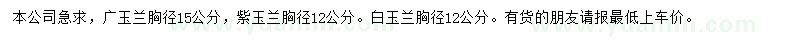 求購廣玉蘭、白玉蘭、紫玉蘭等