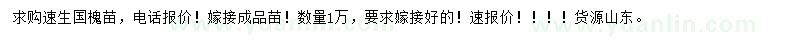 求購速生國槐苗