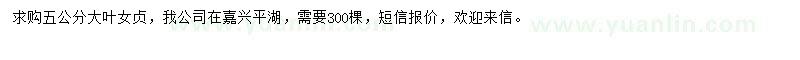 求購5公分大葉女貞