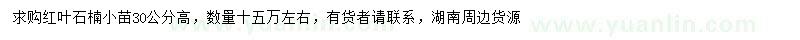 求購高30公分紅葉石楠