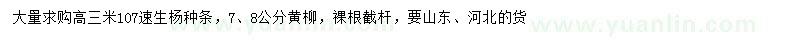 求購高三米107速生楊種條、7、8公分黃柳