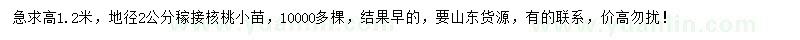 求購(gòu)地徑2公分核桃樹(shù)小苗