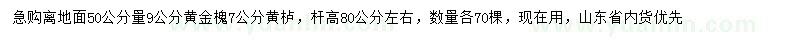 求購(gòu)50公分量9公分黃金槐、7公分黃櫨