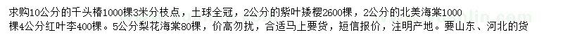 求購(gòu)千頭椿、紫葉矮櫻、紅葉李等