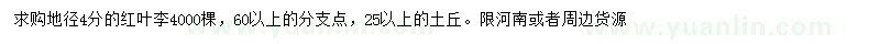 求購地徑4公分紅葉李