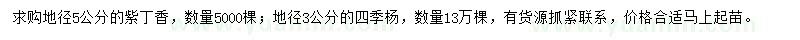 求購(gòu)地徑5公分紫丁香、3公分四季楊