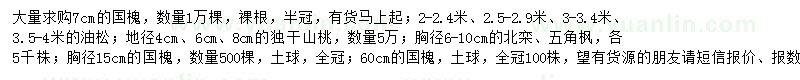 求購國槐、油松、山桃等