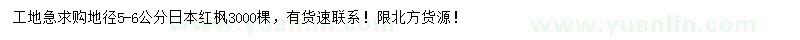 求購地徑5-6公分日本紅楓