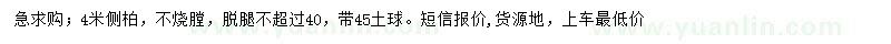 求購4米側(cè)柏
