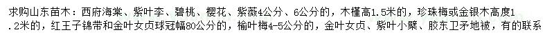 求購西府海棠、紫葉李、碧桃等