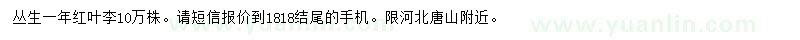 求購一年紅葉李