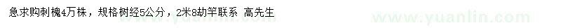 求購5公分刺槐