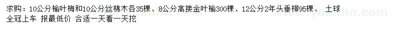 求購(gòu)榆葉梅、絲棉木、金葉榆等