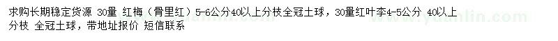 求購5-6公分紅梅、4-5公分紅葉李