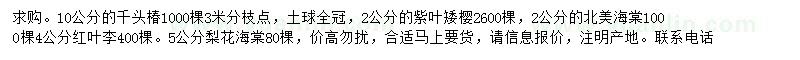 求購千頭椿、紫葉矮櫻、北美海棠等
