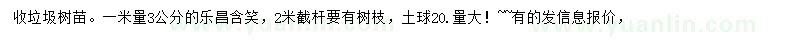 求購1米量3公分樂昌含笑
