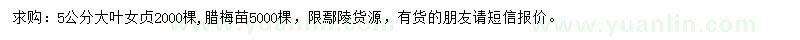 求購5公分大葉女貞、臘梅苗