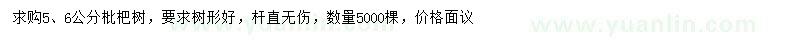 求購(gòu)5、6公分枇杷樹(shù) 