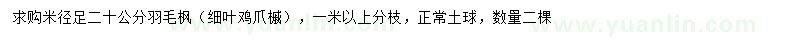 求購米徑20公分羽毛楓