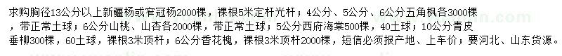 求購新疆楊、五角楓、山桃等