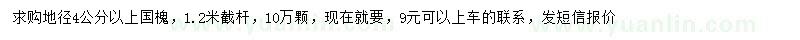 求購地徑4公分以上國槐