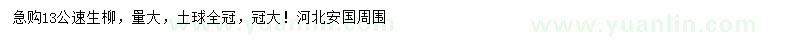 求購13公速生柳