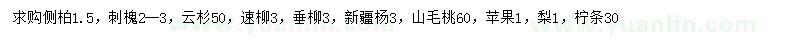 求購側(cè)柏、刺槐、云杉等