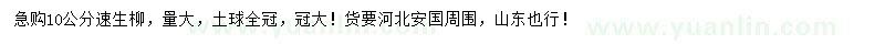 求購10公分速生柳