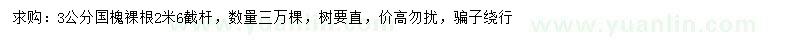 求購(gòu)3公分國(guó)槐