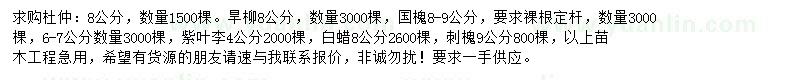求購杜仲、旱柳、國槐等