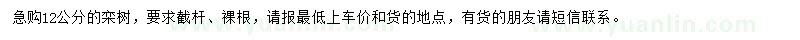 求購12公分欒樹