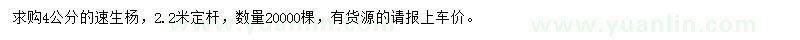 求購4公分速生楊