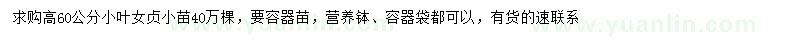 求購高60公分小葉女貞小苗