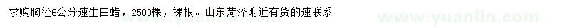 求購胸徑6公分速生白蠟