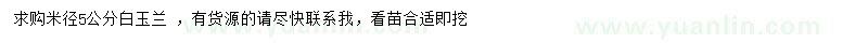 求購米徑5公分白玉蘭