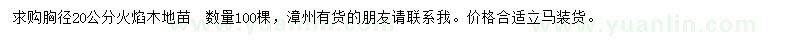 求購胸徑20公分火焰木