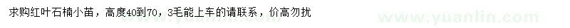 求購(gòu)高40-70公分紅葉石楠