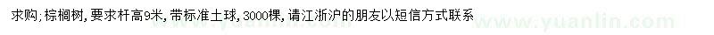 求購高9米棕櫚樹