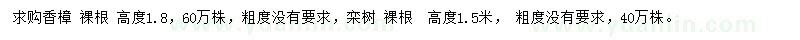 求購高1.8米香樟、1.5米欒樹(shù)