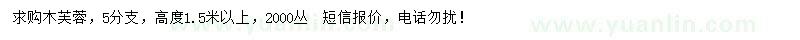 求購高1.5米以上木芙蓉
