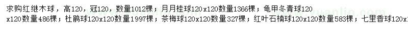 求購紅繼木球、月月桂球、龜甲冬青球等