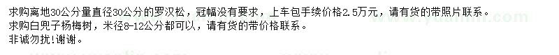 求購直徑30公分羅漢松、米徑8-12公分楊梅樹