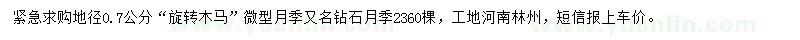求購地徑0.7公分微型月季