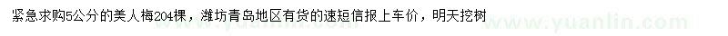 求購5公分美人梅